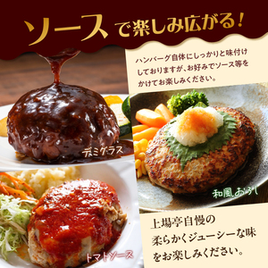 佐賀牛仕込みハンバーグ 4個｜佐賀牛 ハンバーグ【A163】