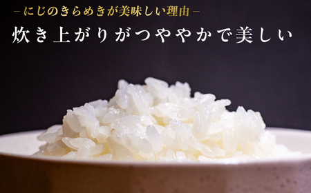 米 にじのきらめき 5kg 米 久喜市 埼玉県 