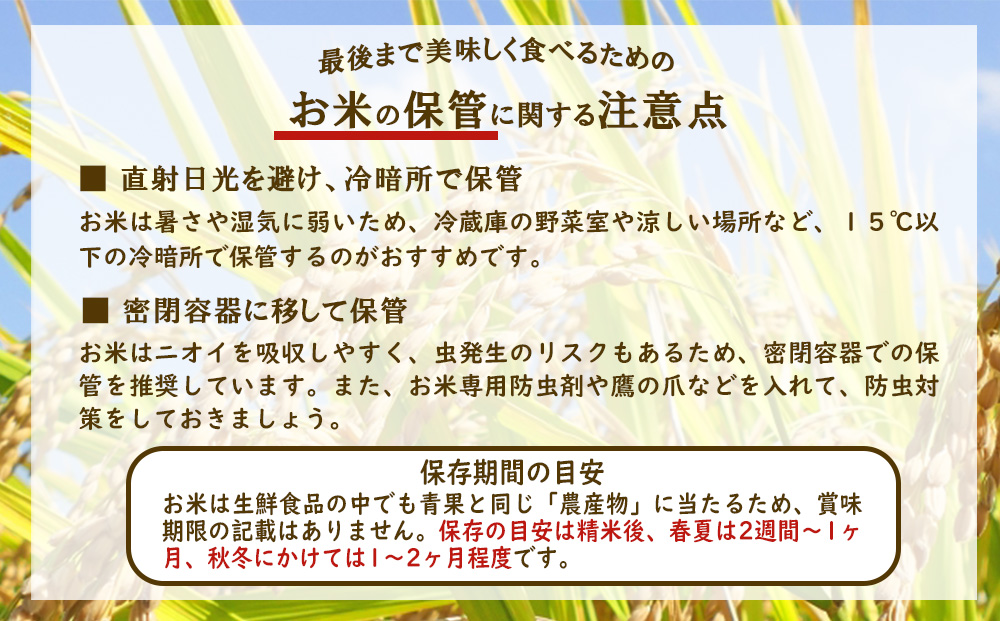 【半年定期便】令和７年産先行予約 えびの産 ひのひかり 3kg×6ヶ月 合計18kg 定期便 米 お米 白米 ヒノヒカリ おにぎり お弁当 九州 宮崎県 特選米 冷めても美味しい 送料無料
