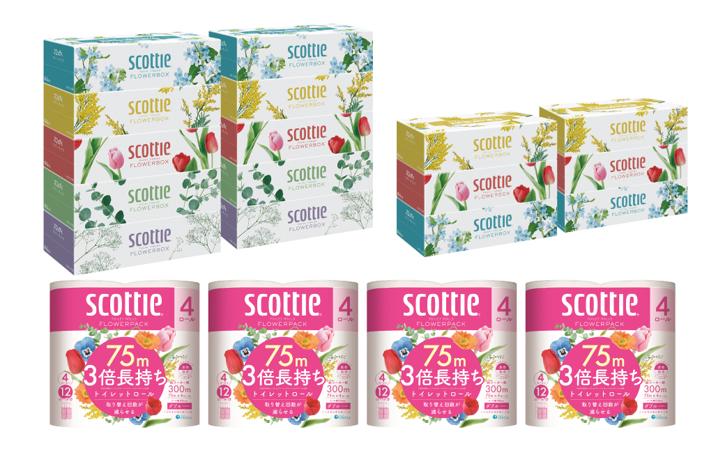 【スコッティ】ティシュー フラワーボックス 250組（5箱パック×2セット・3箱パック×2セット）＋フラワーパック 3倍長持ち（4ロール(ダブル)パックx4セット）ティッシュ トイレットペーパー 日用品