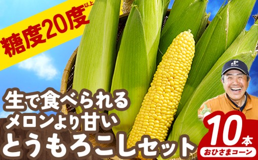 【2026年先行予約】とうもろこし 10本 おひさまコーン 元木農場 北海道 十勝 浦幌町産 国産 朝もぎたて 朝採り 生でも食べられる 糖度20度以上 トウモロコシ コーン とうきび 玉蜀黍 ゴールドラッシュ スイートコーン 極甘 高糖度 フルーツコーン やわらかい 新鮮 野菜 夏野菜 旬 お中元 夏ギフト 贈り物 贈答用 クール便 冷蔵 送料無料《8月中旬-9月中旬より発送(土日祝除く)》
