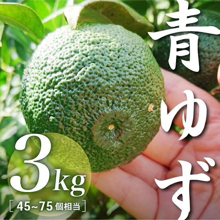 【ふるさと納税】三原村産　青ゆず(キズあり、サイズ不揃い)　3kg
