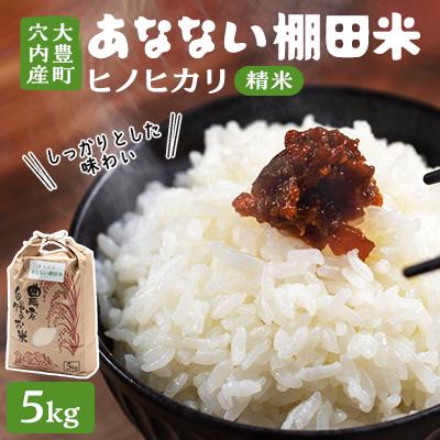 ふるさと納税 大豊町 あなない棚田米(精米)　5kg
