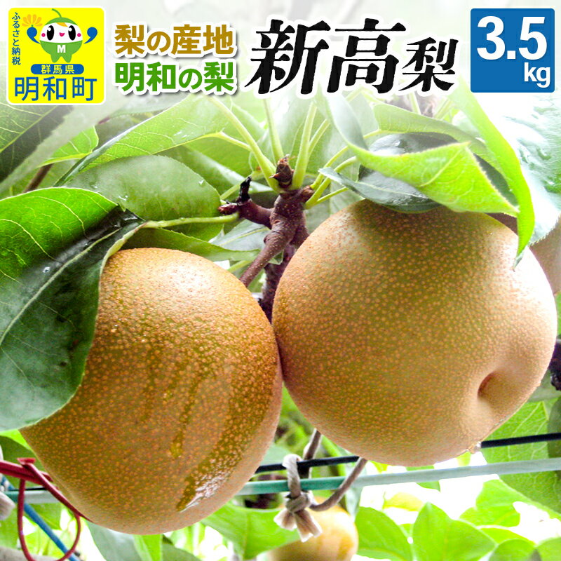 【ふるさと納税】梨（新高）3.5kg【9月中旬〜10月上旬にお届け】