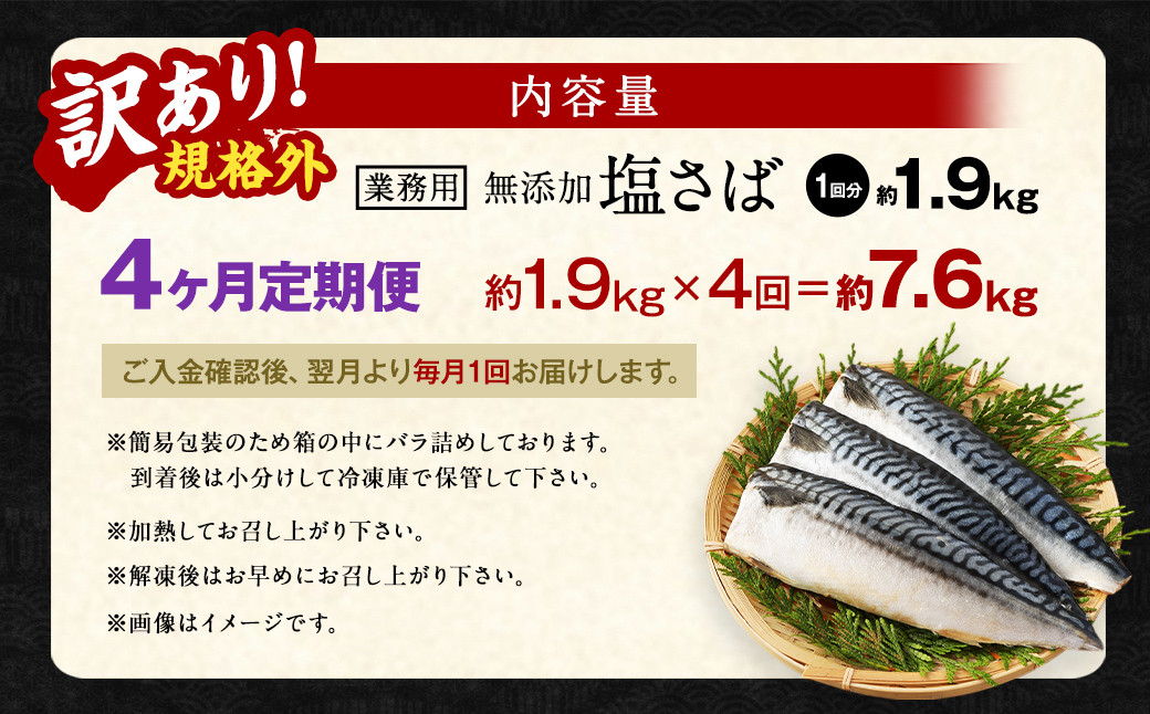 【4ヶ月定期便】【訳あり規格外】 業務用 無添加塩さば 1.9kg