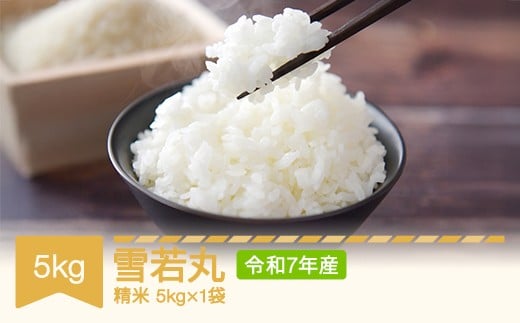 【先行予約】 新米 米 雪若丸 精米 5kg 令和7年産 2025年産 山形県村山市産 mr-ywxxa5