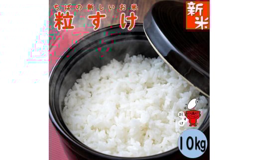 令和7年産 ちばの新しいお米　粒すけ　10kg 【お米マイスター厳選】