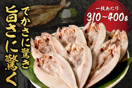 【3ヶ月定期便】ホッケ好きのホッケ好きによるホッケ好きのための ( 開きホッケ ほっけ ホッケ 北海道産 個包装 居酒屋 真空パック 7枚 3ヶ月 定期便 おつまみ おかず 焼魚 )【999-0050