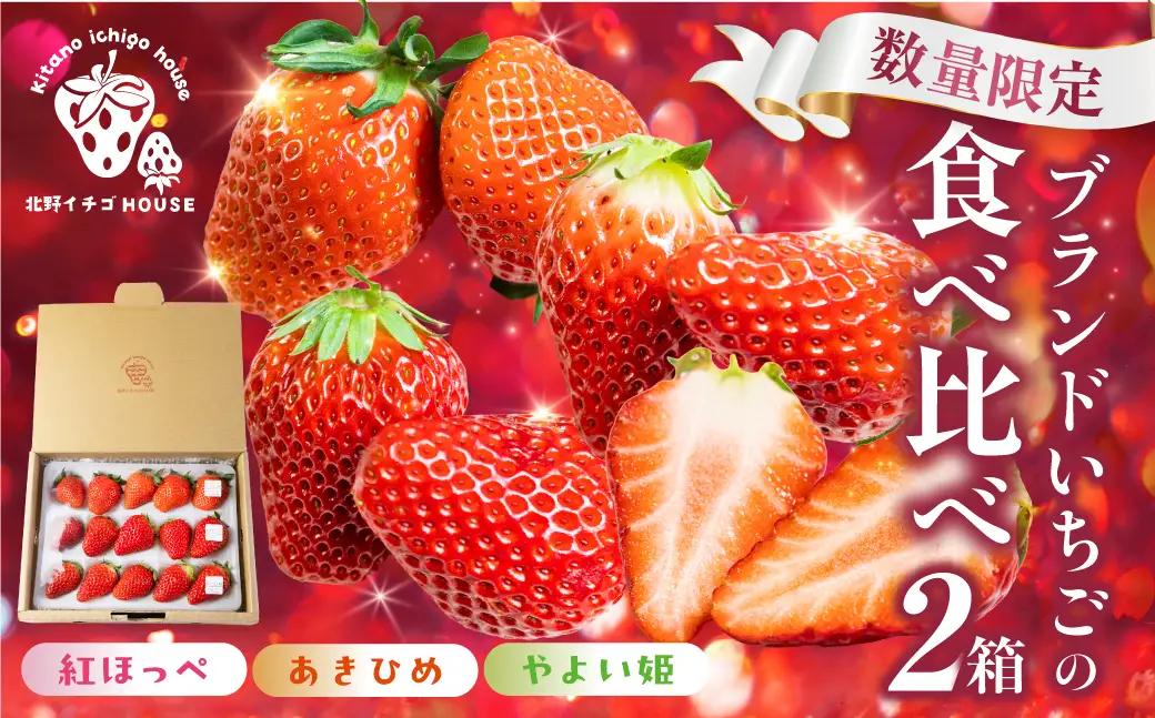 3種いちご食べ比べ 2箱 紅ほっぺ 章姫 苺