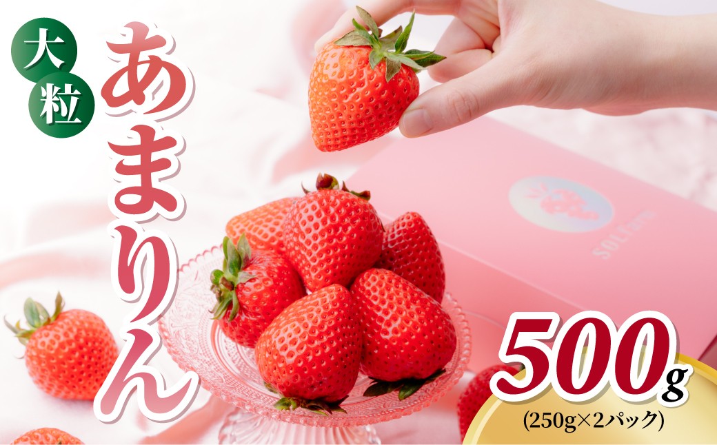 
                  いちご 大粒あまりん 贈答向き 2パック 約500g (1パック 約250g 6or8粒) | あまりん 大粒 いちご イチゴ 苺 埼玉県オリジナル品種 大粒 甘い おいしい 美味しい 新鮮 季節限定 期間限定 数量限定 限定 糖度が高い 食味の良い 酸度控え目 甘み 甘さ 果実 高級いちご フルーツ ギフト 贈り物 贈答 プレゼント 旬の果物 果物 産地直送 solfarm 埼玉県 東松山市
                