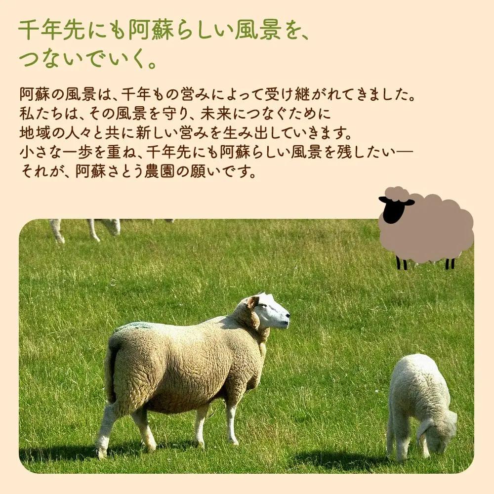 阿蘇地域で生産した貴重な国産羊肉のジンギスカン！　 国産羊肉 ジンギスカン 熊本特産 晩白柚風味  羊肉レシピ 簡単調理 焼くだけ 本格ジンギスカン  熊本グルメ ご当地グルメ 特製漬け込み お取り寄