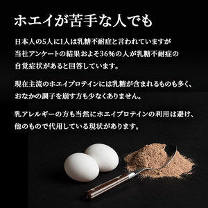 【定期便9ヵ月】REVOPRO EGG WHITE PROTEIN プレミアムチョコレート味 パウチタイプ 1kg プロテイン 乳糖フリー たんぱく質 ボディメイク 体づくり 卵白プロテイン 健康 プ