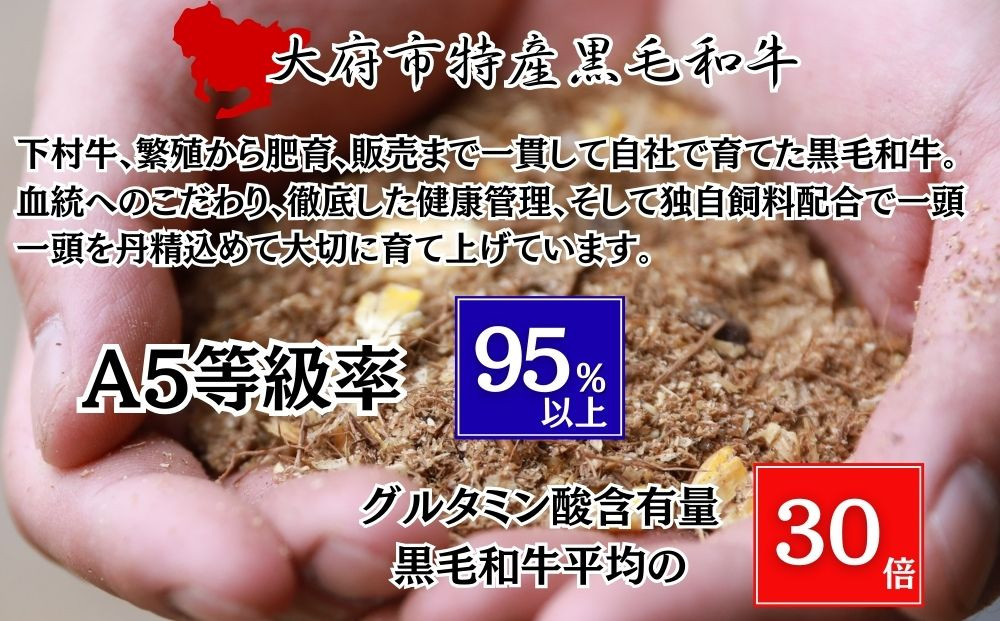 大府市特産A5ランク黒毛和牛　極上ヒレ肉まるごと１本