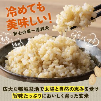 ふるさと納税 都城市 【令和6年産】伝統の味!都城産ヒノヒカリ玄米15kg【2024年10月下旬より順次発送】 |  | 01