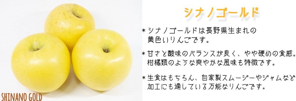 りんご シナノゴールド 特選 5kg やまじゅうファーム 沖縄県への配送不可 2025年11月上旬頃から2025年11月中旬頃まで順次発送予定 令和7年度収穫分 信州の環境にやさしい農産物 減農薬栽培