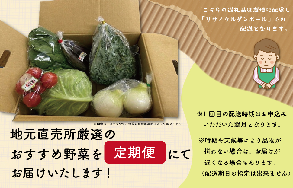 旬の野菜 詰め合わせ 5品以上 連続3か月 【 定期便 】 おまかせ セット 産地直送 新鮮 野菜 季節の野菜 旬 直売所 直送 連続 新鮮 E2358-0