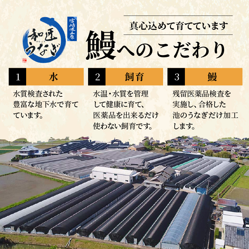 【宮崎市佐土原産】備長炭手焼き 和匠うなぎの蒲焼カット4パックセット 計400g うなぎ 鰻 蒲焼き 国産 鰻の蒲焼 カット済み 真空パック 冷凍 小分け 手焼き