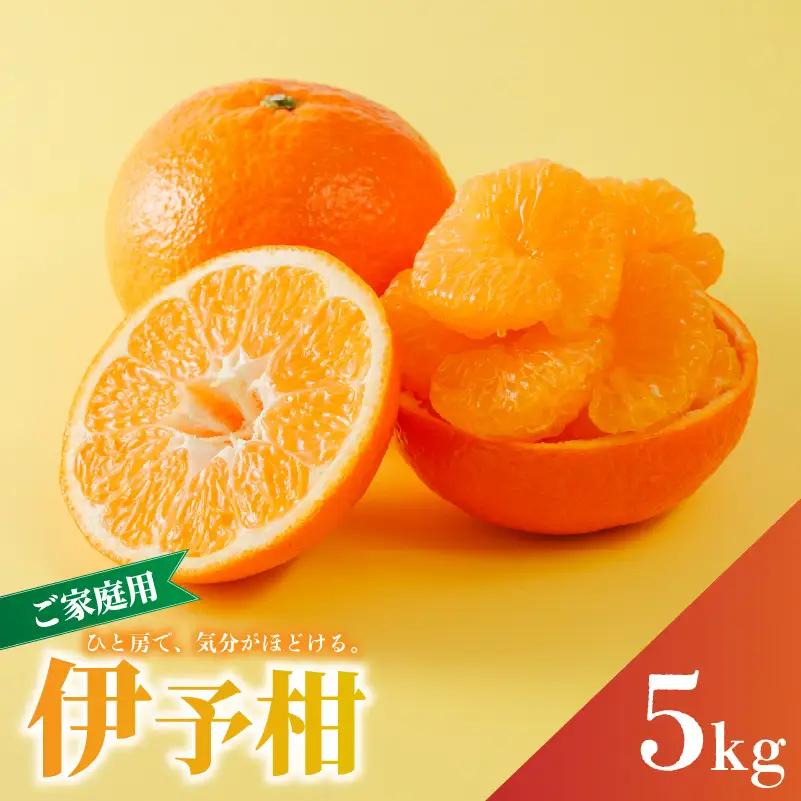 【2027年1月下旬から順次発送】 家庭用 宮内伊予柑 5kg サイズ混合 期間限定 期間限定【RNK0132】