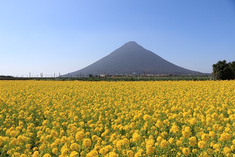 鹿児島県指宿市ANAトラベラーズダイナミックパッケージクーポン30,000点分