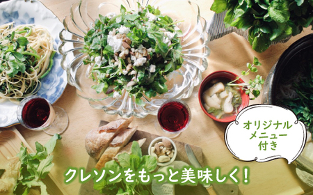 クレソン 1200g ※北海道・沖縄・離島への配送不可 ※着日指定不可 DSL006