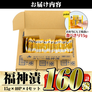 a868 プチつけものカレー福神漬 160P合計2.4kg(15g×40P×4セット) 【九州新進】 常温 漬物 漬け物 ふくじん漬け 食べきり 小分けパック