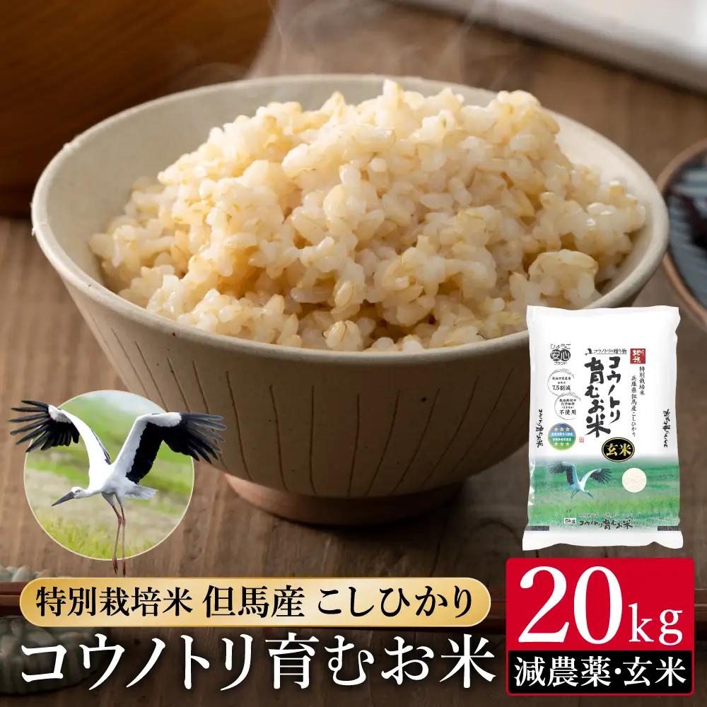 令和7年産 減農薬 特別栽培米 コウノトリ育むお米 玄米 20kg（5kg×4袋）