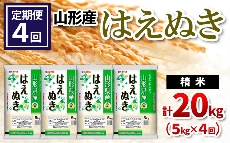 
                  【定期便4回】山形県産 はえぬき 精米 5kg×4回(計20kg) FZ26-849
                