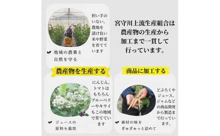 ジュース にんじん 旬素材 1L 6本 /  宮守川上流生産組合 岩手県 遠野産 100% りんご ブレンド 野菜 人参 フルーツ 果物 ギフト