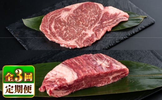 【全3回定期便】熊本県産 あか牛 ステーキ用ヒレ肉(約600g)、ロース肉(約800g) 計約1.4kg / 牛肉 国産 セット 食べ比べ【合同会社 たべたせいか】 [BHBY029]
