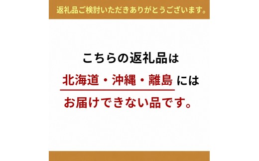 あまおう イチゴ 2パック（1パック約250g) 化粧箱