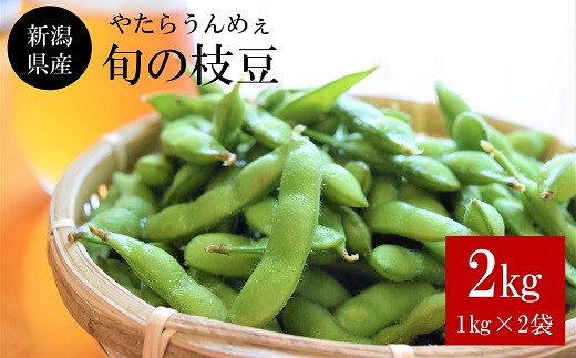 【数量・期間限定】やたらうんめぇ 枝豆 2kg（1kg×2袋）水田環境鑑定士在籍[ZB255]