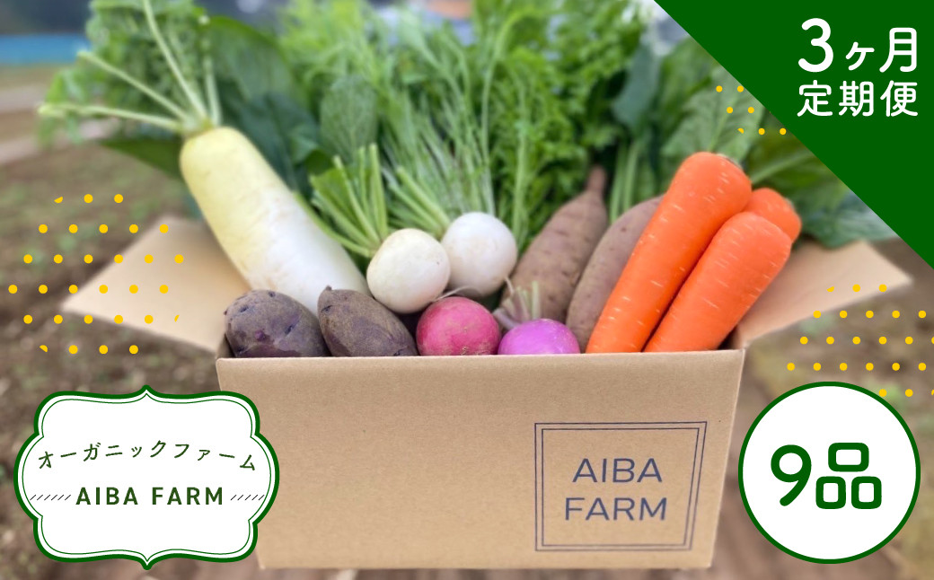 
【3ヶ月 定期便】【栽培期間中農薬不使用】農家直送！季節の新鮮野菜「９品」詰め合わせセット オーガニックファーム AIBA FARM TML002 / 野菜セット 無農薬 野菜 千葉県 富里市 直送野菜 お野菜セット 旬野菜 季節野菜 農家直送 採れたて とれたて やさい 詰め合わせ セット ヤサイ 旬の野菜 季節の野菜 産地直送 詰め合わせ おまかせ 新鮮 オーガニック 農薬不使用
