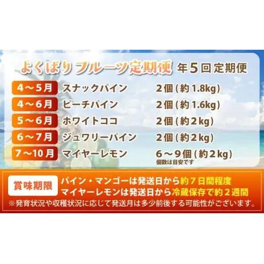 パイナップル好きにおすすめ！大満足のパイナップル4品種＆青切りマイヤーレモン定期便　年5回に分けてお送りします 《2027年4月以降発送》