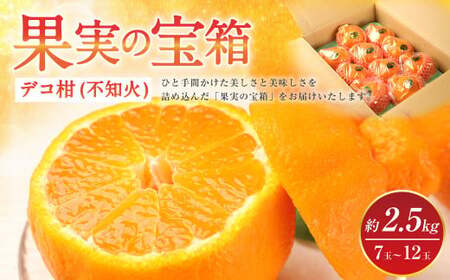 【先行予約】果実の宝箱 デコ柑（不知火）約2.5kg【田辺農園】【2025年3月上旬から5月下旬発送予定】不知火 しらぬい  柑橘 不知火デコポン®  デコポンの品種名が不知火 デコポン® デコポンはJA熊本果実連の登録商標 デコポン発祥の地