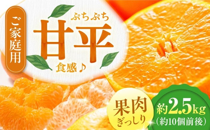 
                  【訳あり】【先行予約】【2026年2月中旬から順次発送】甘平 約2.5kg 10個前後【ご家庭用】  みかん ミカン えひめ かんぺい 柑橘 愛媛県大洲市/西村農園[AGDC004] 訳ありみかん 蜜柑 甘平 果物 くだもの フルーツ 新鮮 愛媛県産 大洲市産 産地直送 おすすめ 人気 お取り寄せ 送料無料 ご家庭用
                