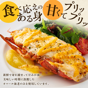 グラタン オマール海老 4食入 チーズ 惣菜 簡単調理 グラタン