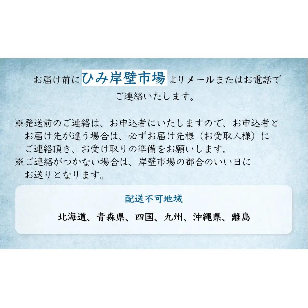 【6回定期便 / 隔月お届け】 刺身詰め合わせ （柵） 2-3人前 （3種類）〈冷蔵〉  釣屋魚問屋直営 ひみ岸壁市場