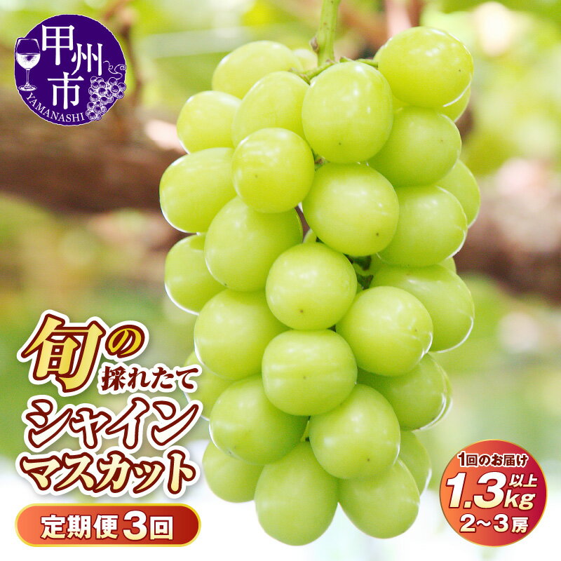 【ふるさと納税】 定期便 シャインマスカット 1.3kg以上 2～3房 3回 果物 フルーツ ぶどう 旬 採れたて 大粒 種なし 皮ごと 産地直送 新鮮 家庭用 期間限定 数量限定 2025年発送 8月 9月 10月 発送 山梨県 甲州市 ギフト 贈答 プレゼント 名産地 先行予約 （HO） 【D-410】