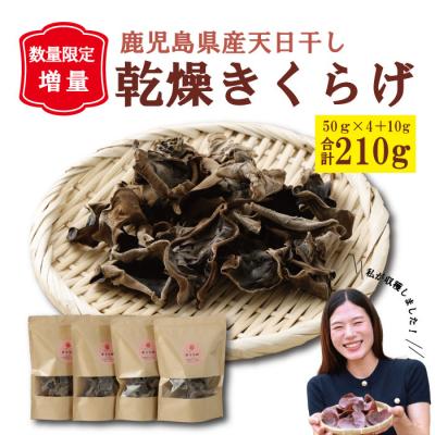 ふるさと納税 薩摩川内市 鹿児島県産天日干し乾燥きくらげ 合計210g AS-4104 国産 木耳