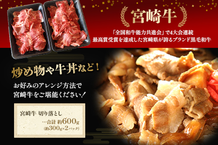 ＜宮崎牛切り落し 合計約600g (約300g×2パック)＞2か月以内に順次出荷【 牛 肉 牛肉 宮崎牛 黒毛和牛 切り落とし 牛こま こま切れ 小間切れ 】