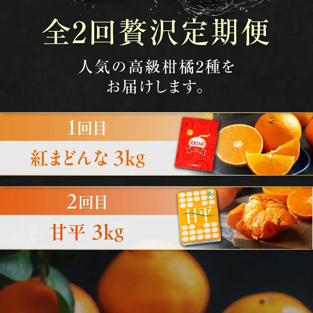 紅まどんな【全2回定期便】紅まどんな＆甘平 約3kgずつ[AGAO013]