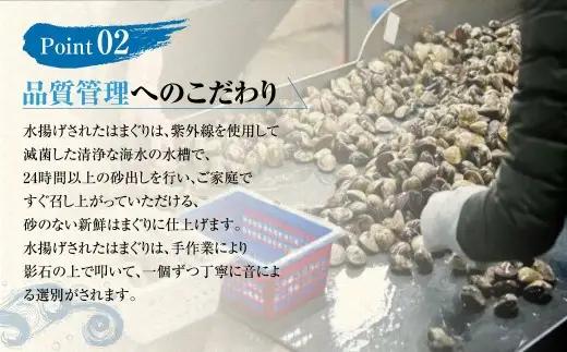 【指定日必須】【配送不可地域有】マルヨシ水産 桑名産中粒天然蛤 1kg（約30～35個）はまぐり ハマグリ 魚介 貝 魚貝 活はまぐり 焼きはま 海鮮 網焼き 酒蒸し お吸い物 パエリア パスタ