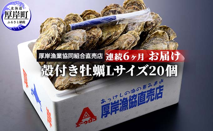 定期便 6ヶ月 北海道 厚岸産 牡蠣 Lサイズ 20個 (各回20個×6ヶ月分、合計120個) 殻付き 生食 カキナイフ付き かき カキ