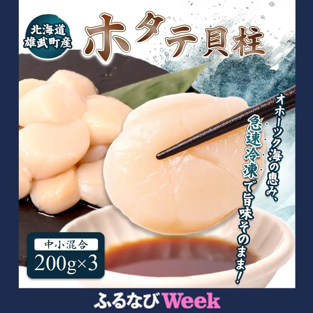 【ふるなびWEEK対象】北海道雄武町産ほたて貝柱 中小混合 200g×3 (冷凍) 使い切りパックFN-Limited-PR【0719501】