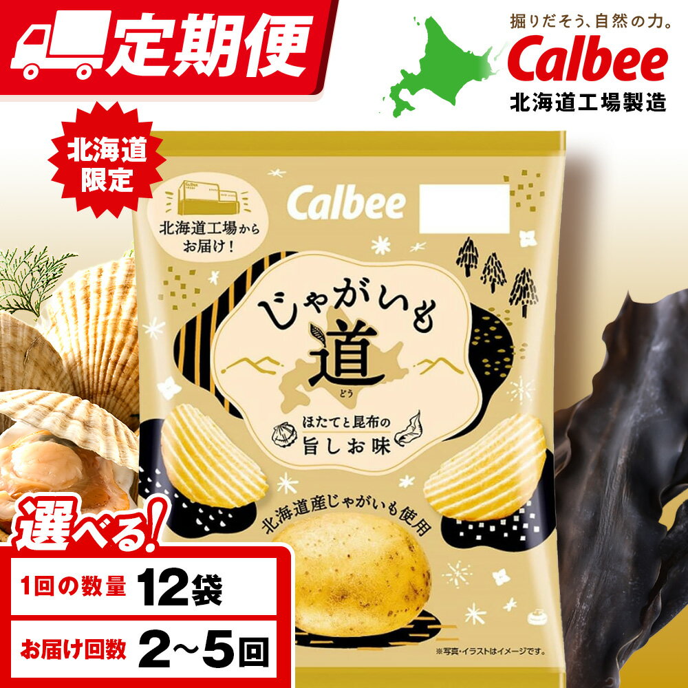 【ふるさと納税】【選べる定期便】【北海道限定】カルビー じゃがいも道 ほたてと昆布の旨しお味 12袋入×1箱 ポテトチップス《千歳工場製造》スナック お菓子 北海道 千歳 ポテチ ポテトチップス 北海道ふるさと納税 千歳市 ふるさと納税 ギフト ふるさと納税