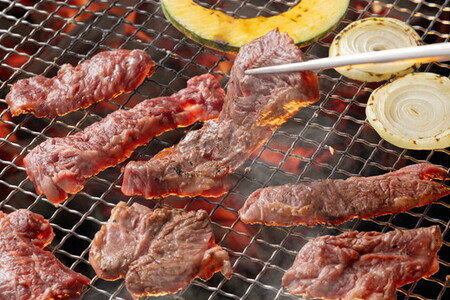 牛ハラミ 1パック 300g 尾野精肉店の牛ハラミ瀬戸内レモン塩だれ｜ 肉 訳あり 小分け 真空パック 冷凍 牛肉 ハラミ 瀬戸内 レモン 塩ダレ 広島県 竹原市　※離島への配送不可