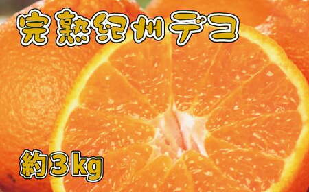 果肉プリプリ♪　完熟紀州デコ(不知火) 約3kg ＜2026年2月下旬頃〜2026年3月中旬頃発送＞【uot706A】