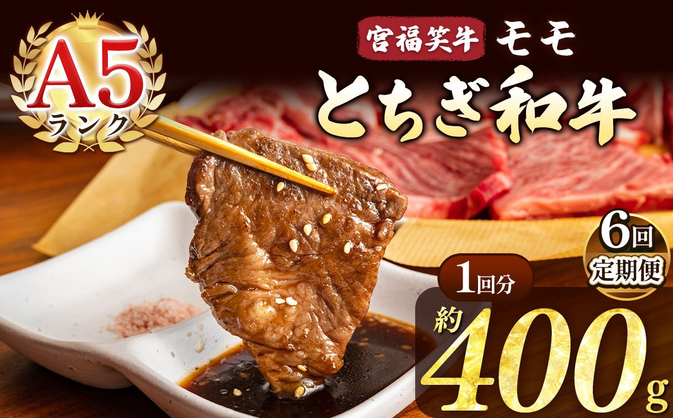 
            【定期便6回】宮福笑牛(とちぎ和牛) A5 モモ焼き肉 約400g  | 定期便 牛肉 和牛 焼き肉 やきにく 焼肉 焼肉用 モモ肉 もも肉 モモ もも 旨味 美味しい 肉 お肉 栃木県共通返礼品 栃木県 真岡市
          