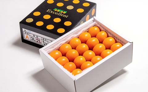 糖度18度以上！宮崎金柑の最高級ブランド『完熟きんかんたまたまエクセレント』1kg　2Ｌサイズ以上【先行予約】＜1.7-27＞