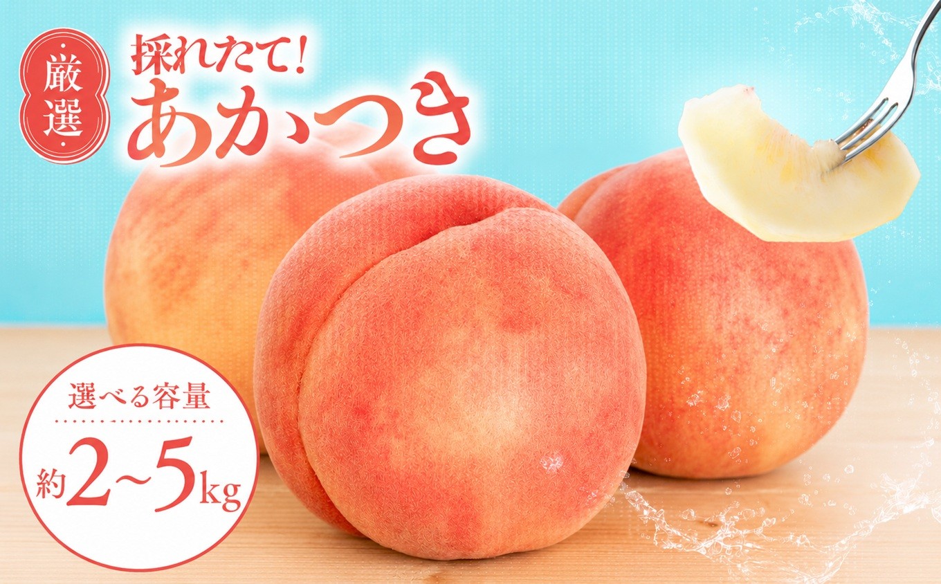 
                  【7月下旬より順次発送】南信州産「桃」あかつき 【選べる容量】 約2kg 約3kg 約5kg | 果物 くだもの フルーツ 桃 モモ もも あかつき 新鮮 長野県 信州 南信州 飯田市
                